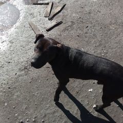 ����: ������� ������  �������� ������ ������ ������ � �. ������