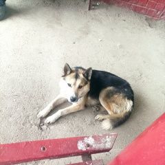 ����: ������� ������  �������� ������ ������ ����� ������� ������� � �. �������