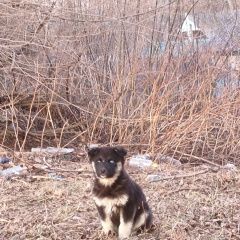 ����: ������� ������  �������� ������ ��� ���� ��� ��������� � �. ���������