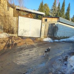 ����: ������� ������  �������� ������ ������ ��� �����������...� � �. ����������� (������������ ���.)