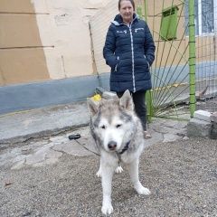 ����: ������� ������ ���������� ����� �������� ������ ���� ����� ����� ����� ������ �...� � �. �����������