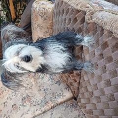 ����: None ��������� �������� ������ ��������� �����. ������ ��������� ����� ������� � �. �������