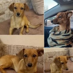 ����: ������� ������  ����������� ������� ������ � �. ����������