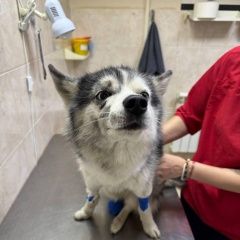 ����: ������� ������  �������� ������ ������ � �. ������