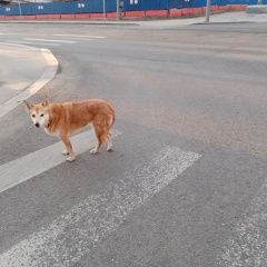 ����: ������� ������  ������� ������� ������ �������� ������ � �. ������