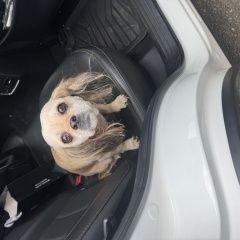 ����: ������� ������  �������-��-���� ������� ������ � �. ������-��-����