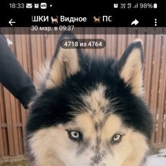 ����: ������� ������  ������� ������� ������ ����� � �. ������