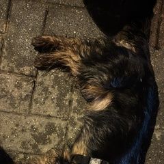 ����: ������� ������ ����������� ������ ���������� ������� ������ ����������� ������ � �. ���������