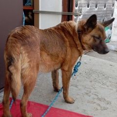 ����: ������� ������  �������� ������� ������ ������ ���� ������� � �. �������