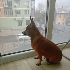 ����: ������� ������  �������� ������� ������ � �. �������