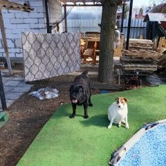 ����: ������� ������ �������� �������� �������� ������ ������ ��������� ����� � �. �����