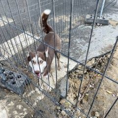 ����: ������� ������  ������� ������� ������ � �. ������