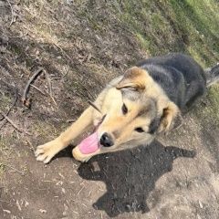 ����: ������� ������  ������� ������� ������ ������ ���������, �...� � �. ������