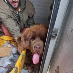 ����: ������� ������  ������������� (�������� ���.) ������� ������...� � �. ������������ (�������� ���.)