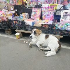 ����: ������� ������  ������� ������� ������ ������ ��������� ��...� � �. ������