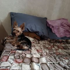 ����: ������� ������ ����������� ������ ������������� ������� ������ ������ �����������...� � �. ������������