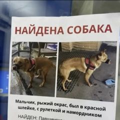 ����: ������� ������  ������������ ������� ������ ������. � 16-35 ��� � �. �����������