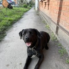 ����: ������� ������ �������� �������� ���������� ������� ������ ������, ������� � �. ���������