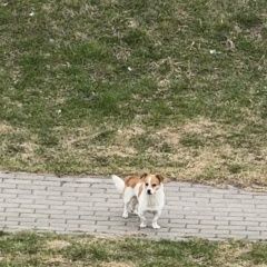 ����: ������� ������  �������� ������ ������ � �. ������