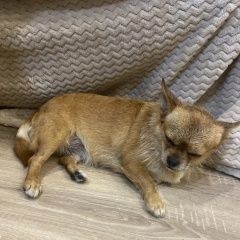 ����: ������� ������  �������� ������ ���� � �. ����