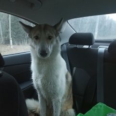 ����: ������� ������  ������������� ������� ������ ������� � �. ������������