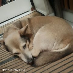 ����: ������� ������  ���� ������� ������ ������� ������ � �. ���