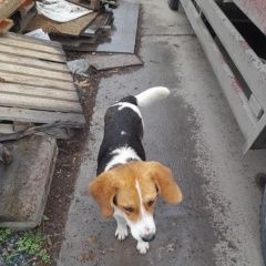 ����: None  ��������� ����� 09. 04. ������������ � �. �����������