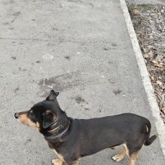 ����: ������� ������  �������� ������ ������ ����������� � �. �����������