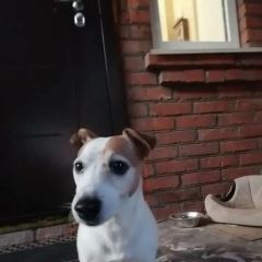 ����: ������� ������ ���� ������ ������ �������� ������ ������ ��������� � �. ���������