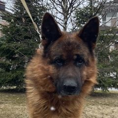 ����: ������� ������ �������� ������� ������ ������� ������ ������ �������� ������� � �. �����