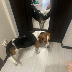 ����: None ����� ��������� ����� ������� ������ � �. ������