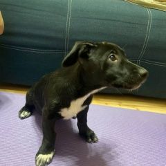 ����: ������� ������  �������� ������� ������ � �. �������