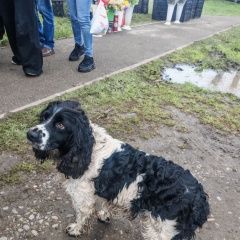 ����: ������� ������  �������� ������ ������������������� ��������...� � �. ����������