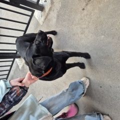 ����: ������� ������  �������� ������, ����� ��� ������������ � �. ������������