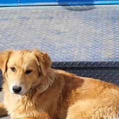 ����: ������� ������  �������� ������ ����� ������� � �. �������