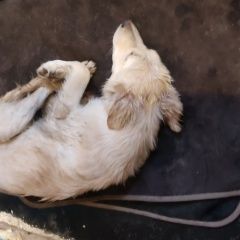 ����: ������� ������  �������� ������ ������ ������ � �. ������