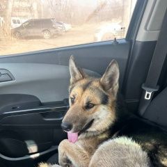 ����: ������� ������  �������� ������ ������ ���������� � �. ����������