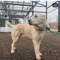 ����: ������� ������ ��������������� ������� ������ ������� ������ ������ ������ � �. �����