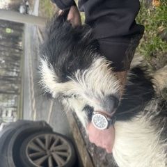 ����: ������� ������  �������� ������ ������ � �. ������