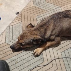 ����: ������� ������  �������� ������ ������ ����� ����� ������ � �. ������