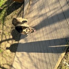 ����: ������� ������ �������� ������� �������� ������ �� ������� ������ ��� ��������...� � �. �����-���������