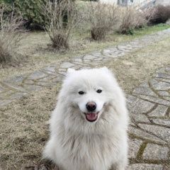 ����: ������� ������ ���������� ����� �������� ������ ������, ������� ����������� � �. �����������