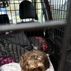 ����: ������� ������ ������ ������� ������� ������ ������ ������� ������� � �. ������