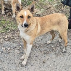 ����: ������� ������  �������� ������ ���������� ����� � �. ���������� �����