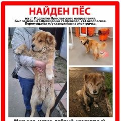 ����: ������� ������  ������� ������� ������ ������� � �. ������