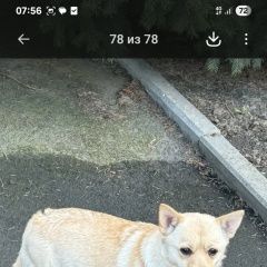 ����: ������� ������  �������-��-���� ������� ������ ��������� ������� � �. ������-��-����