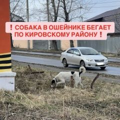 ����: ������� ������  ���������� ������� ������ ���������� ������ � �. ���������