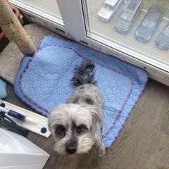 ����: ������� ������  �������� ������ �������� � �. ��������