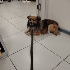 ����: ������� ������  �������� ������ ���������� �������������� ���� � �. ���������� �������������� ����