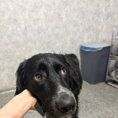 ����: ������� ������  �������� ������ ������ ��������� � �. ���������